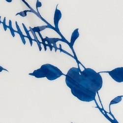 White/Blue