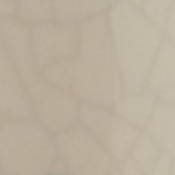 Cream/Navy/Golden Yellow/