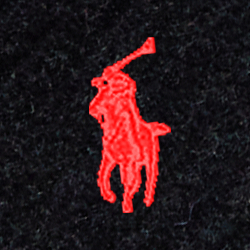 Polo-Schwarz