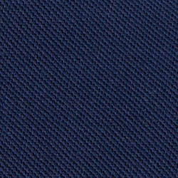 Cruise Navy Denim Bear