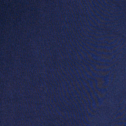 Newport Navy Varsity Bear