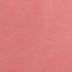 Canvas Pink