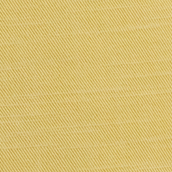 Corn Yellow