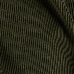 Armadillo