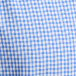 Blue/White Check