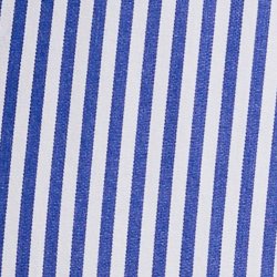Blue/White Bengal Stripe
