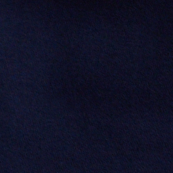 Cruise Navy