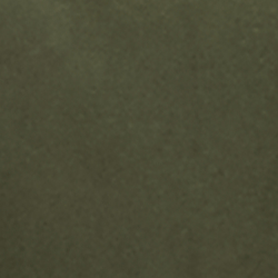 Company Olive