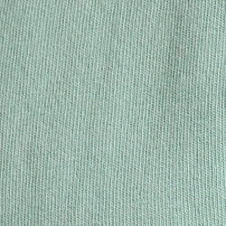 Faded Mint Hmgwy Bear