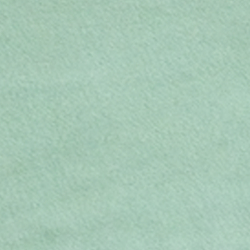 Faded Mint