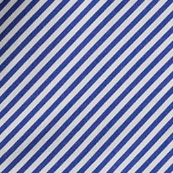 Blue/White