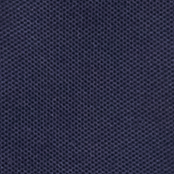 Cruise Navy