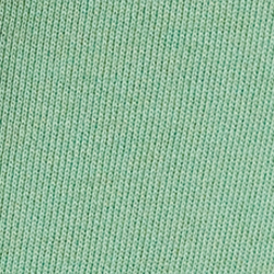 Faded Mint