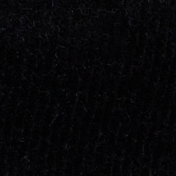 Polo Black Martini