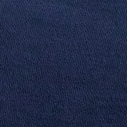Cruise Navy