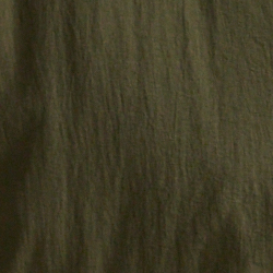 Expedition Olive