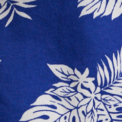 Tropical Monstera