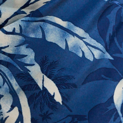 Ombre palmier indigo