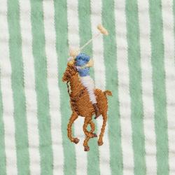 Pistachio Seersucker