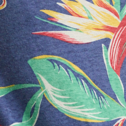 Birds Of Paradise Floral
