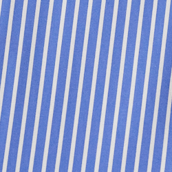 Blue/White