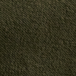 Company Olive