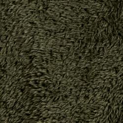 Armadillo