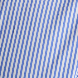 Blue/White