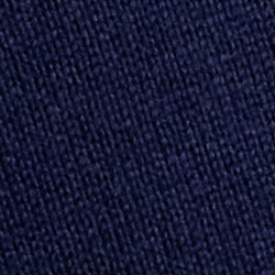 Strahlendes Navy