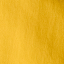 Racing Yellow