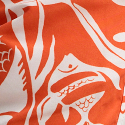 Fish Coral  Orange