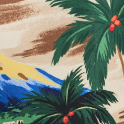 Outrigger Scenic
