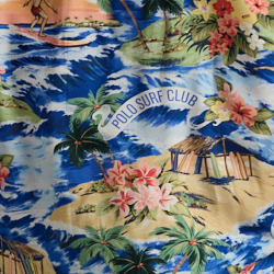 Polo Surf malerisch