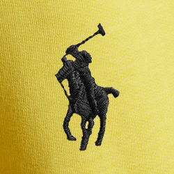 Signal Yellow
