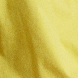 Signal Yellow