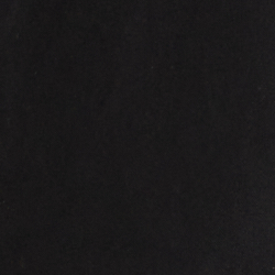 Polo Black