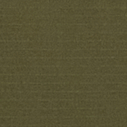 Company Olive