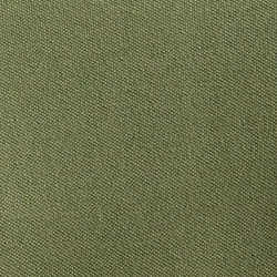 Tree Green Beach Shp Bear