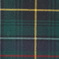 Green Navy Multi