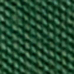 Washed Forest Heritage Bear