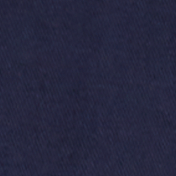 Cruise Navy