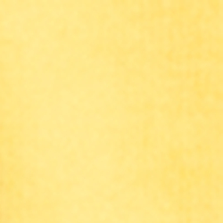 Chrome Yellow/Polo Black