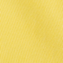 Canary Yellow