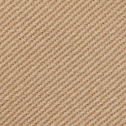 Coastal Beige