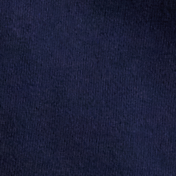 Cruise Navy