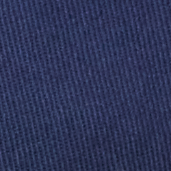 Newport-Navy/Polo Bear