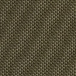 Company Olive