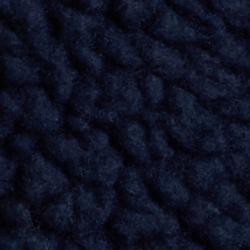 Cruise Navy