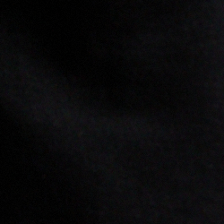 Polo Black