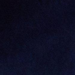Cruise Navy
